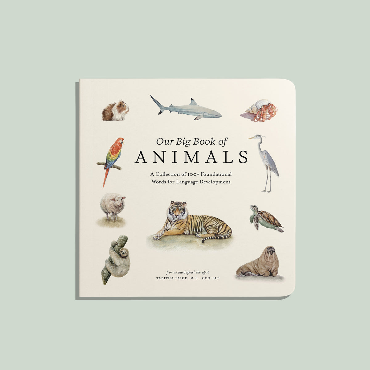Our Big Book of Animals
