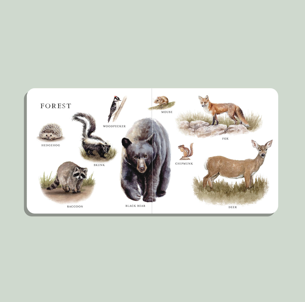Our Big Book of Animals