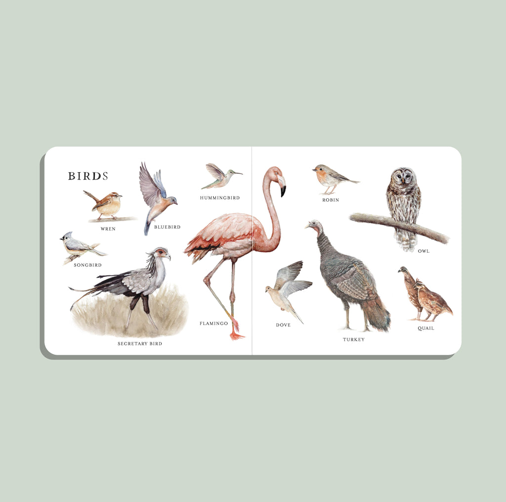 Our Big Book of Animals