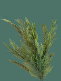 24" Real Touch UV Protected Cedar Bush