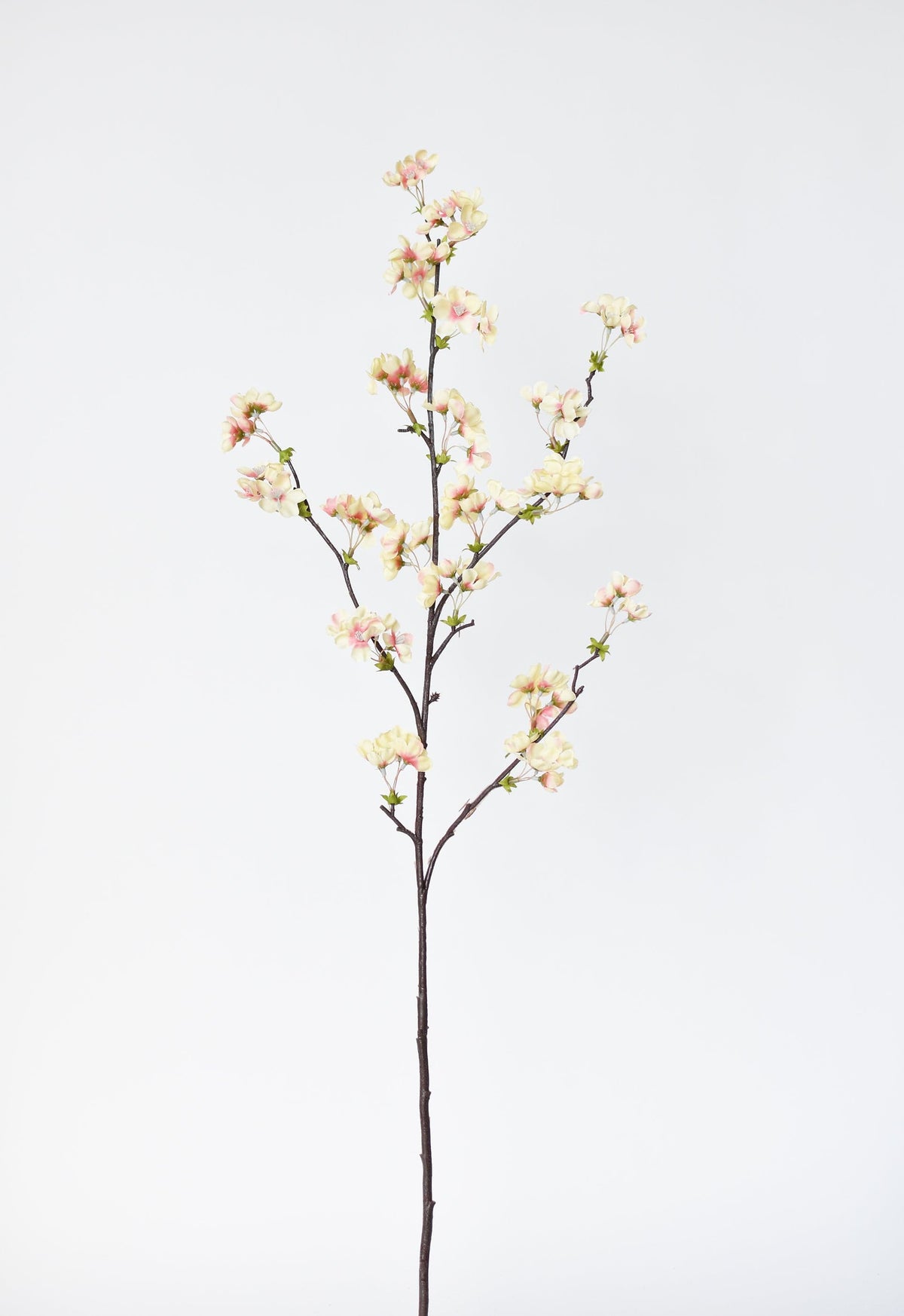 36" Faux Quince Blossom Apricot Cream Stem Flowering Branch