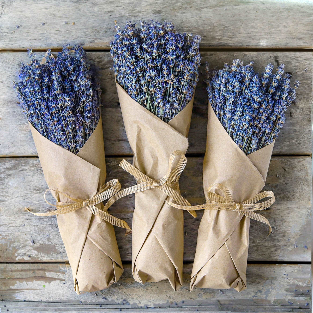 California Dried Lavender Bundles