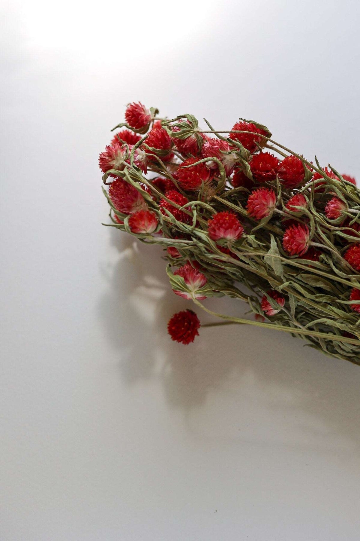 Dried Red Gomphrena Bunch, 4 oz