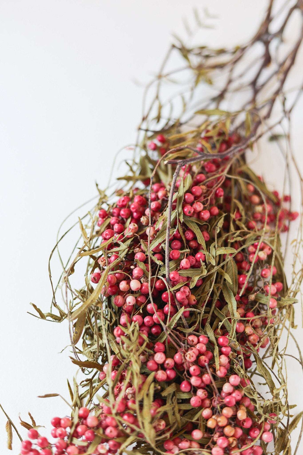 Dried Pink Pepper Berry Bunch, 4 oz