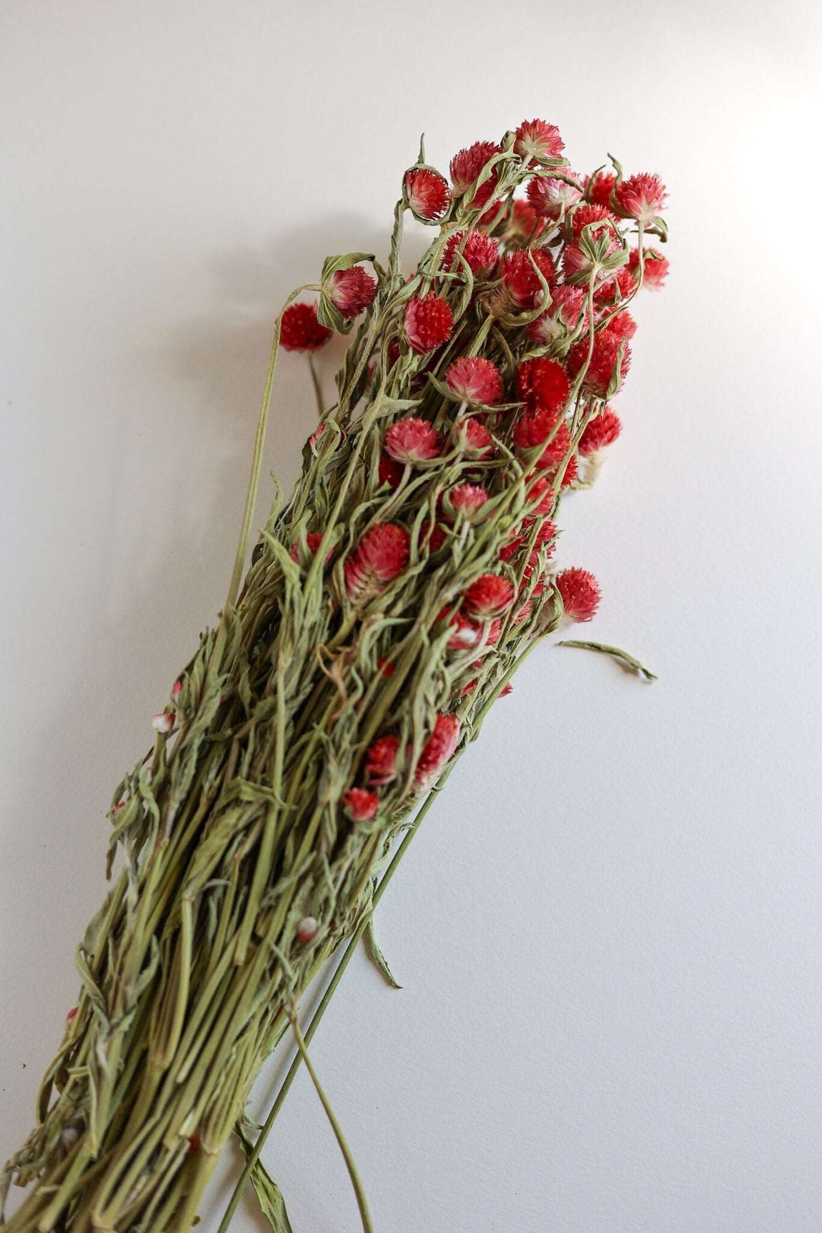 Dried Red Gomphrena Bunch, 4 oz