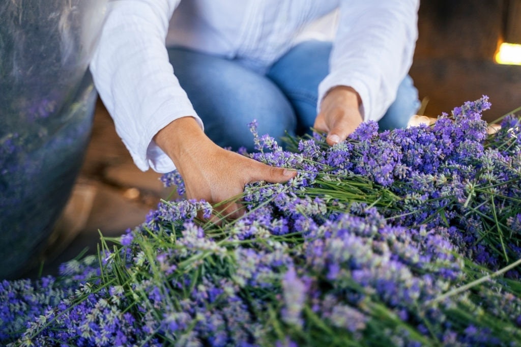 California Dried Lavender Bundles