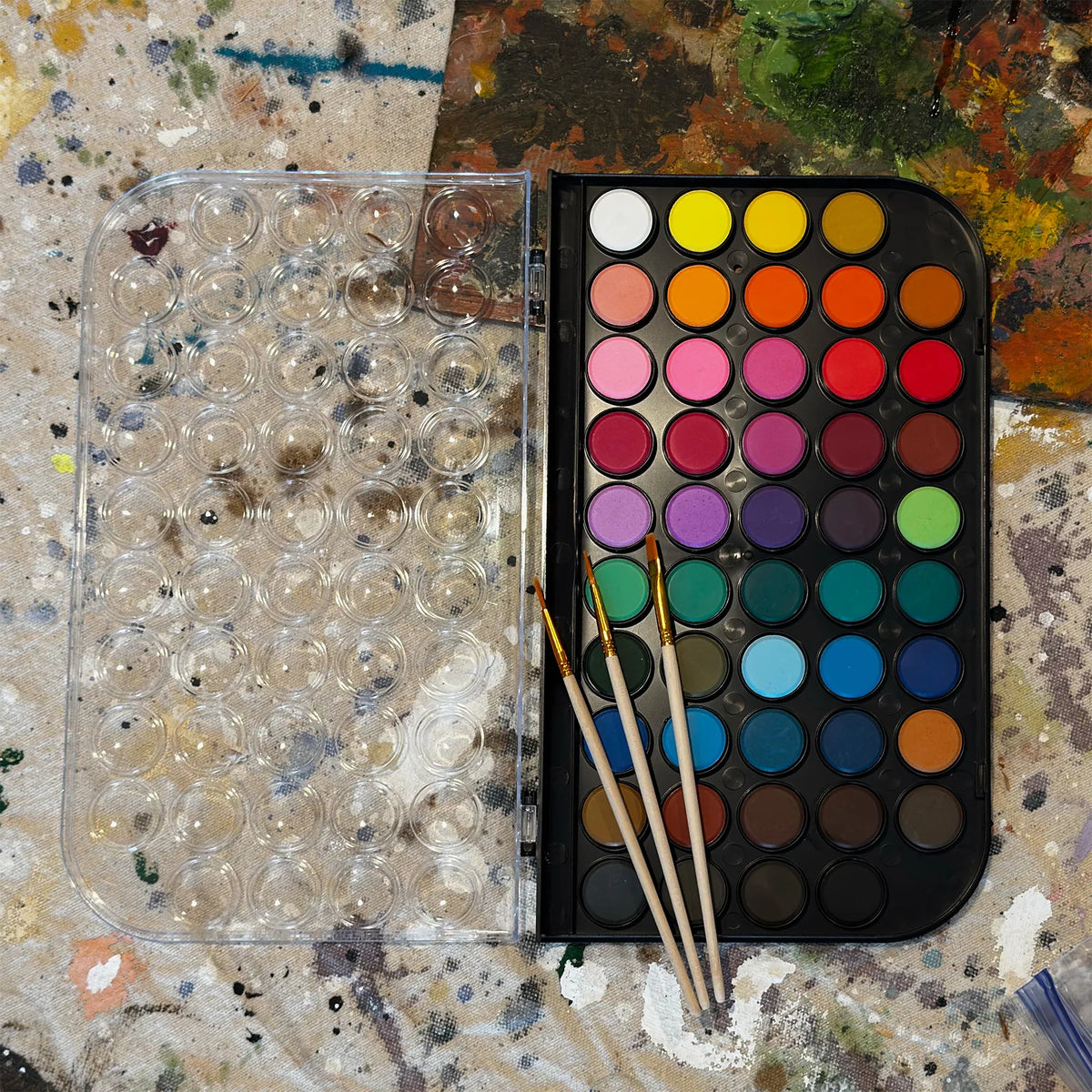 Watercolor Paint Set | 48 Colors + 3 Brushes